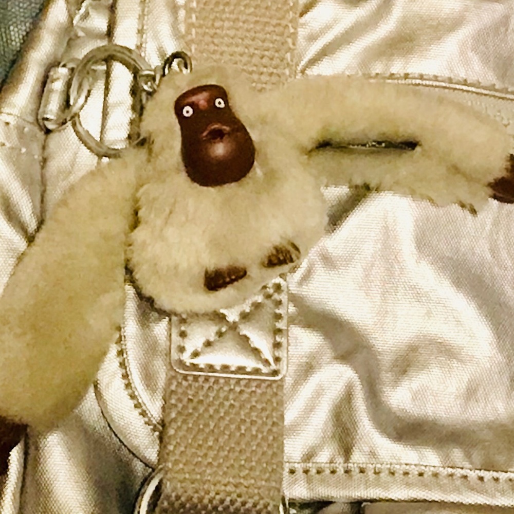 Kipling silver purse